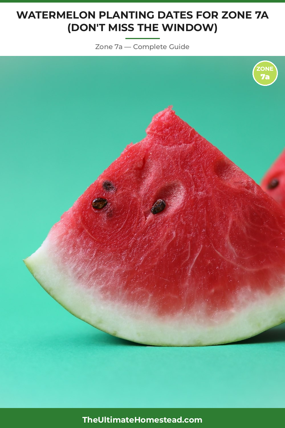 When to Plant Watermelon in Zone 7a