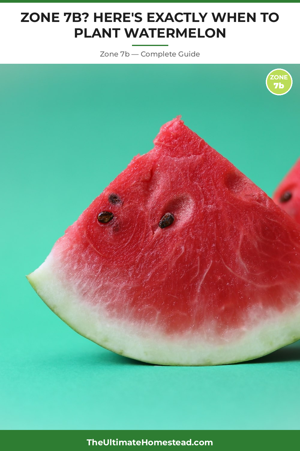 When to Plant Watermelon in Zone 7b