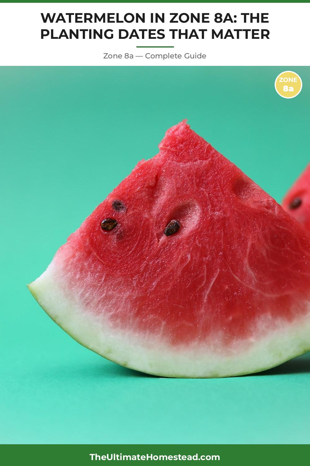 When to Plant Watermelon in Zone 8a
