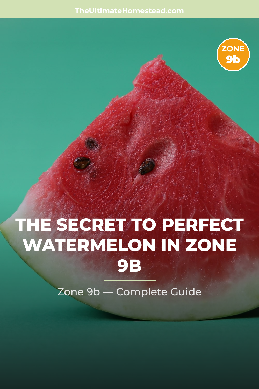 When to Plant Watermelon in Zone 9b