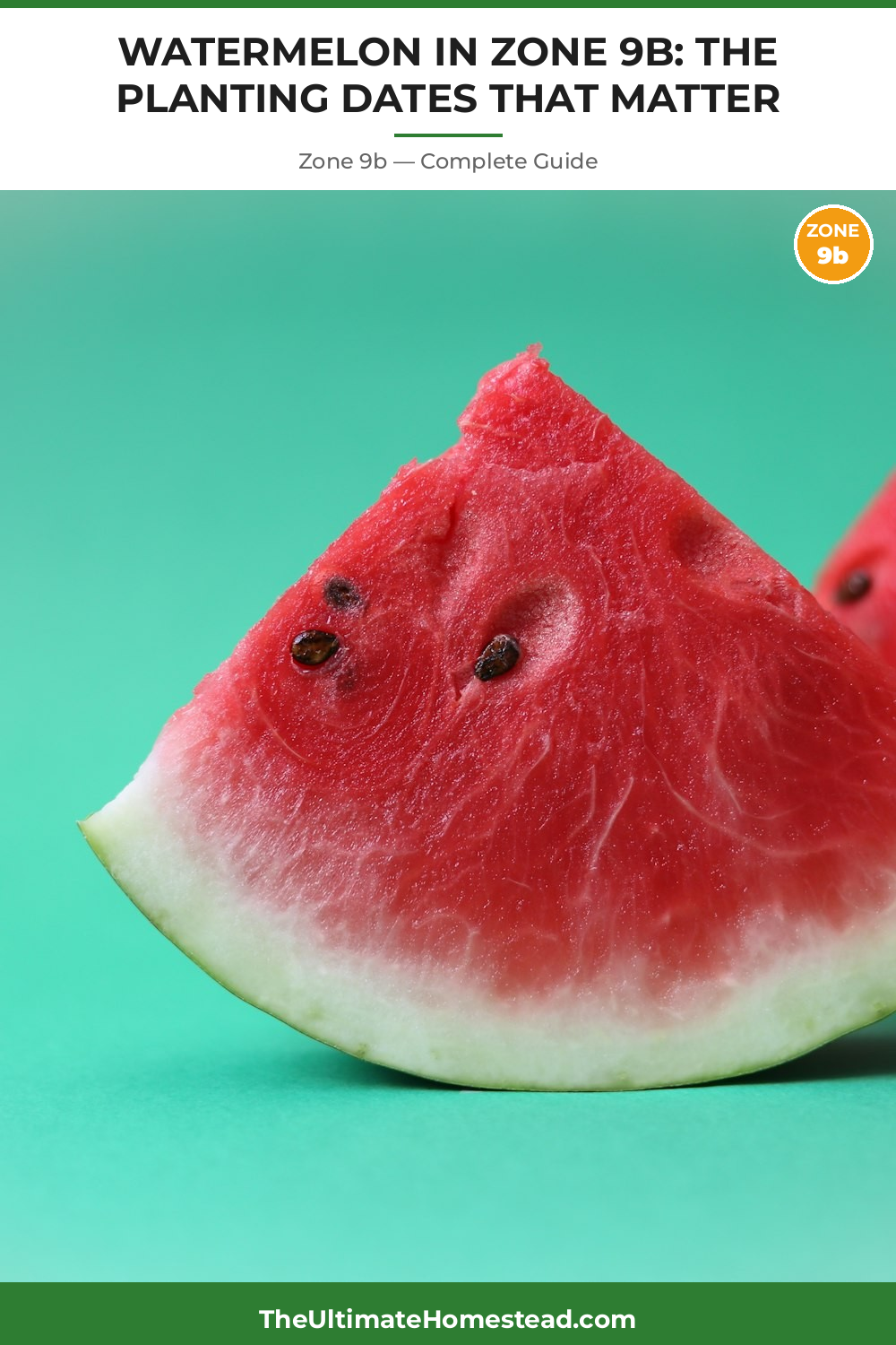 When to Plant Watermelon in Zone 9b