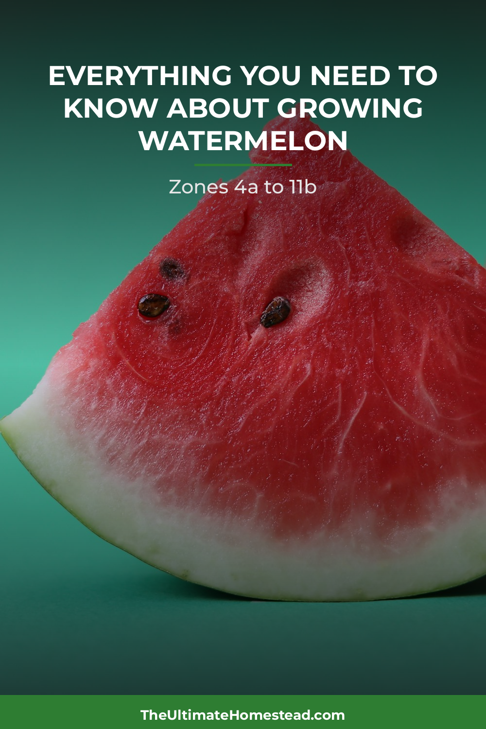 Watermelon Planting Guide