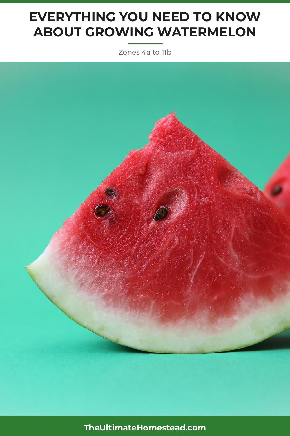 Watermelon Planting Guide