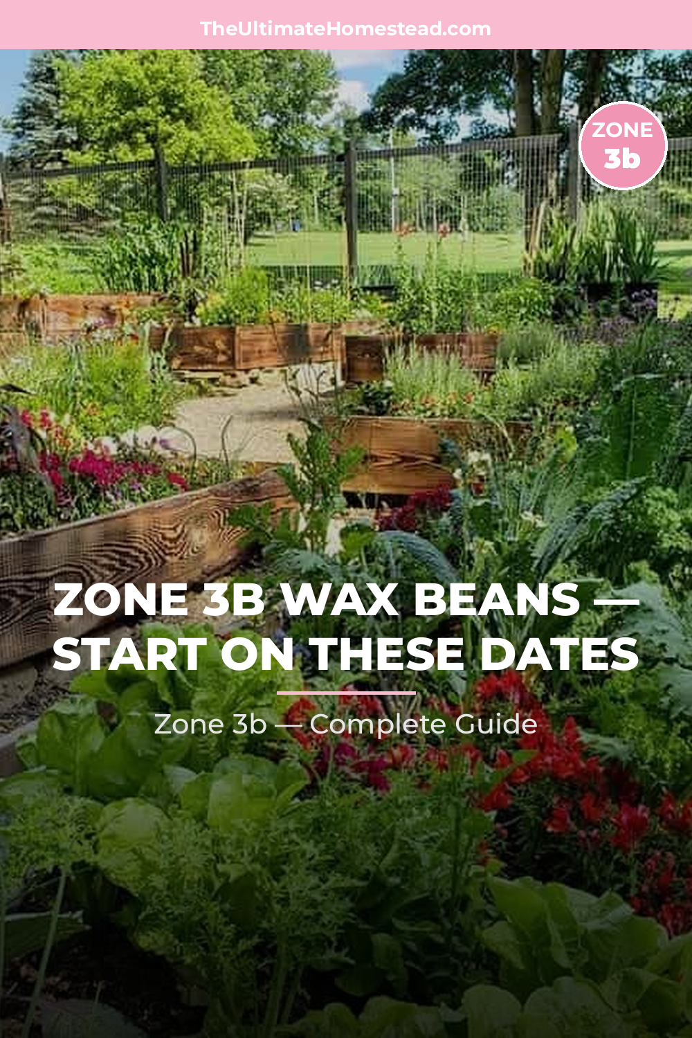 When to Plant Wax Beans in Zone 3b