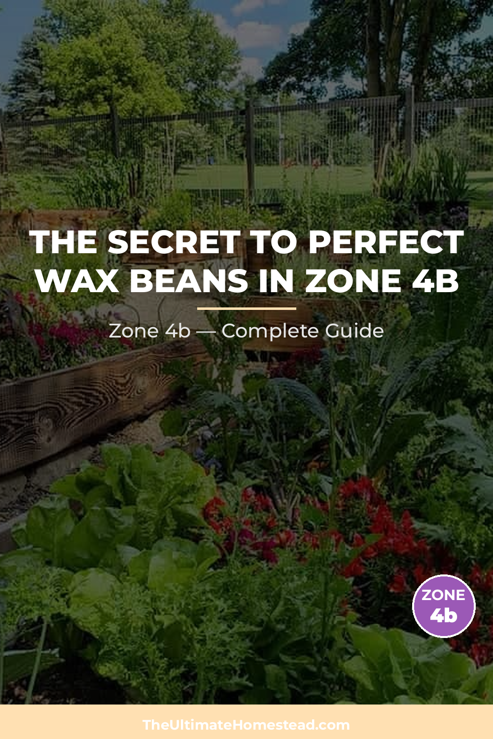 When to Plant Wax Beans in Zone 4b