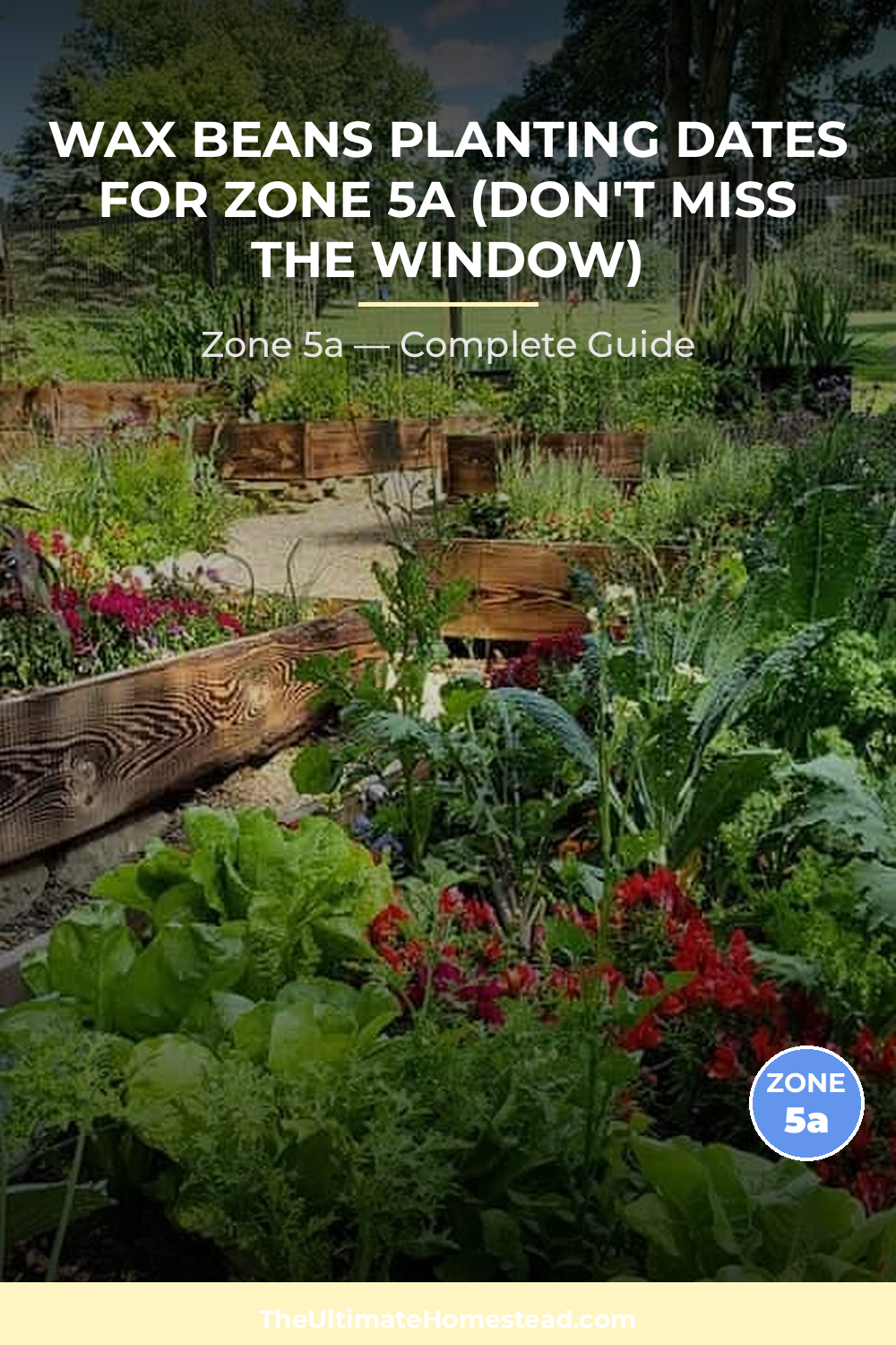 When to Plant Wax Beans in Zone 5a