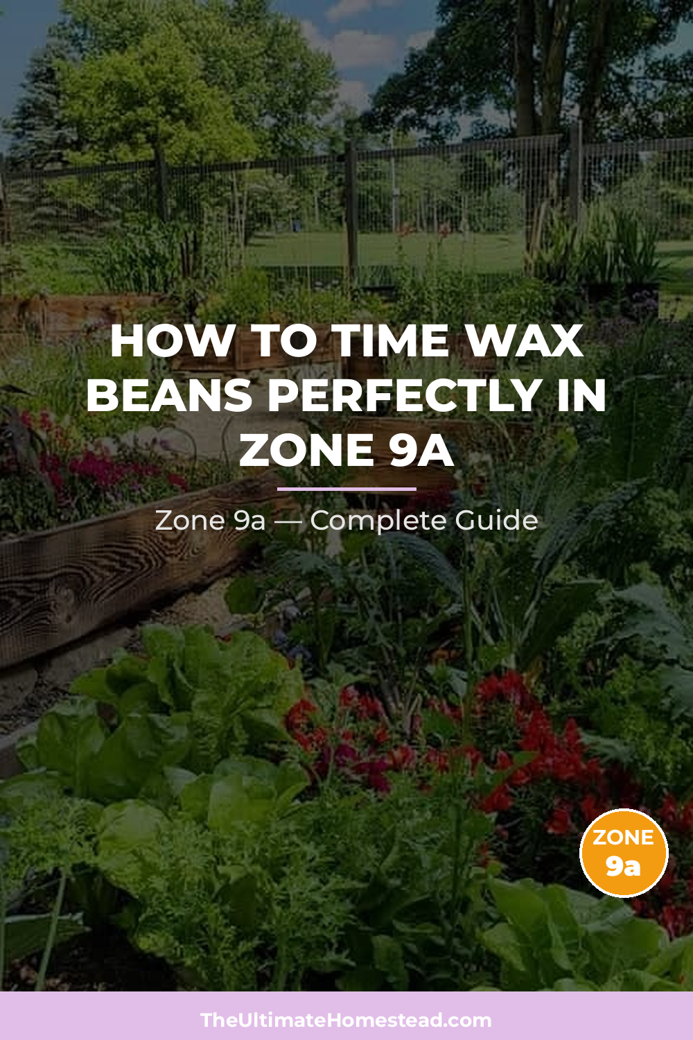 When to Plant Wax Beans in Zone 9a