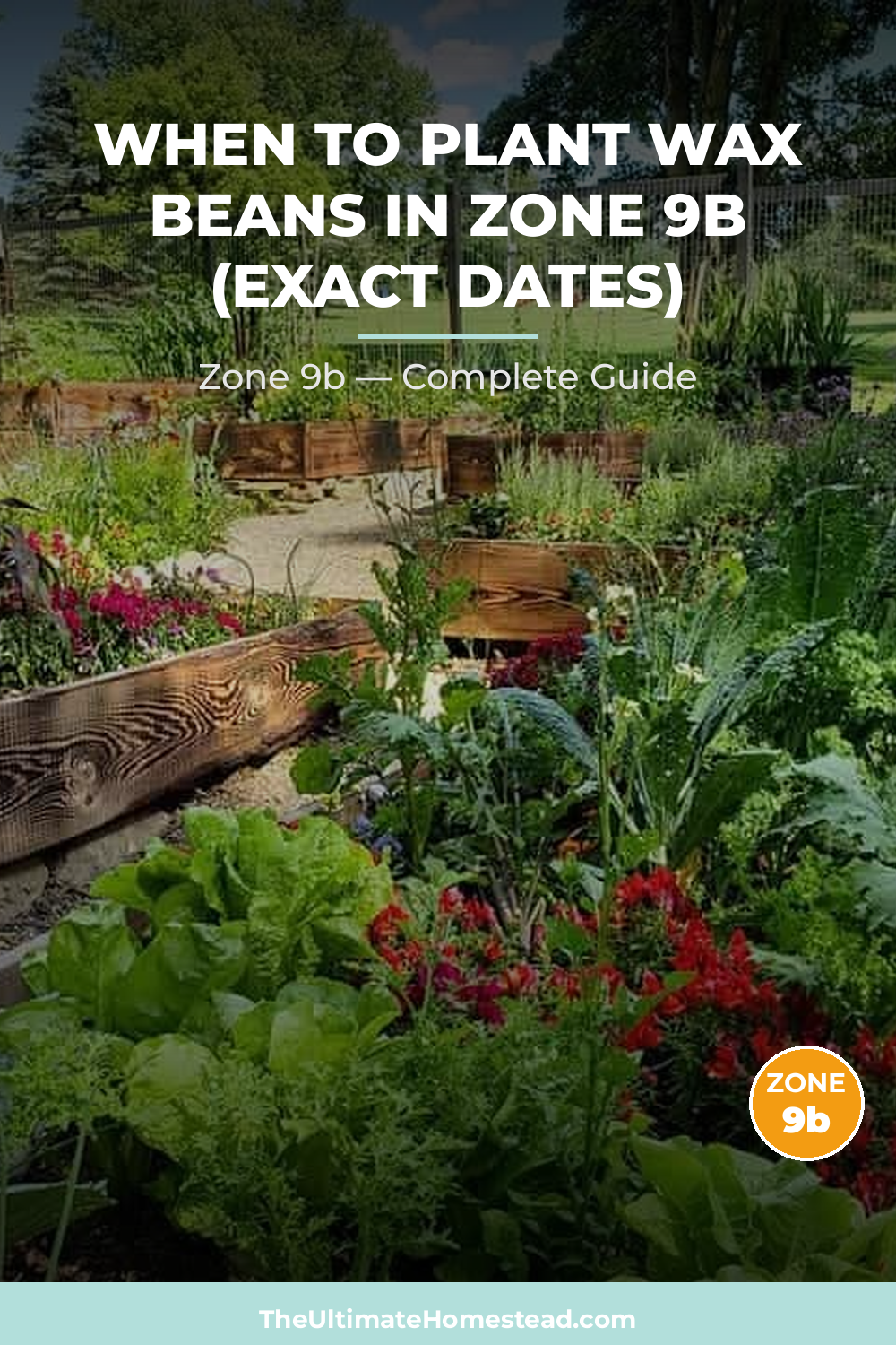 When to Plant Wax Beans in Zone 9b