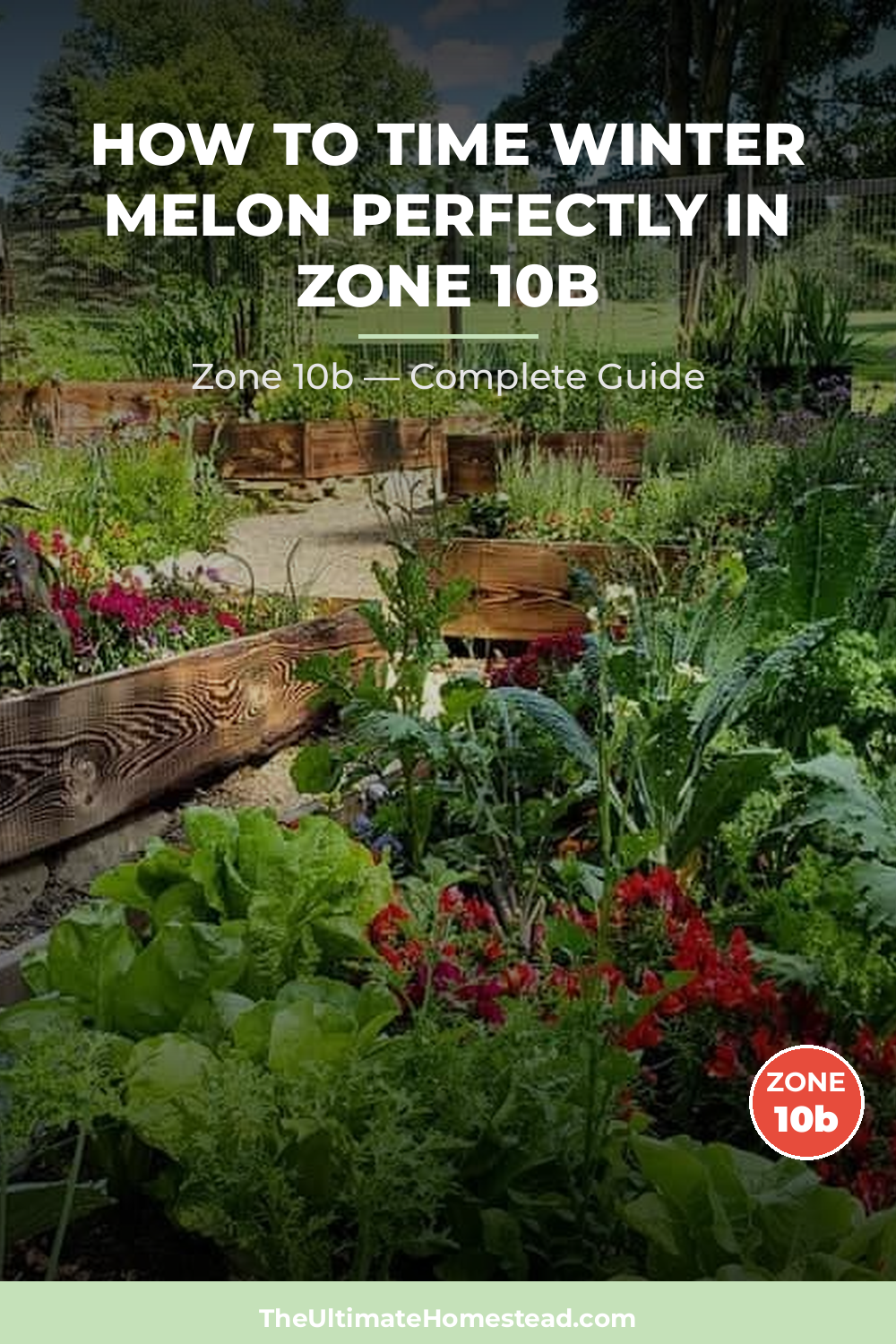 When to Plant Winter Melon in Zone 10b