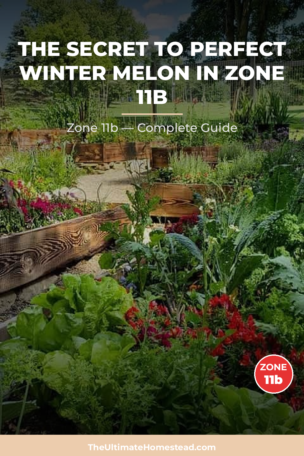 When to Plant Winter Melon in Zone 11b