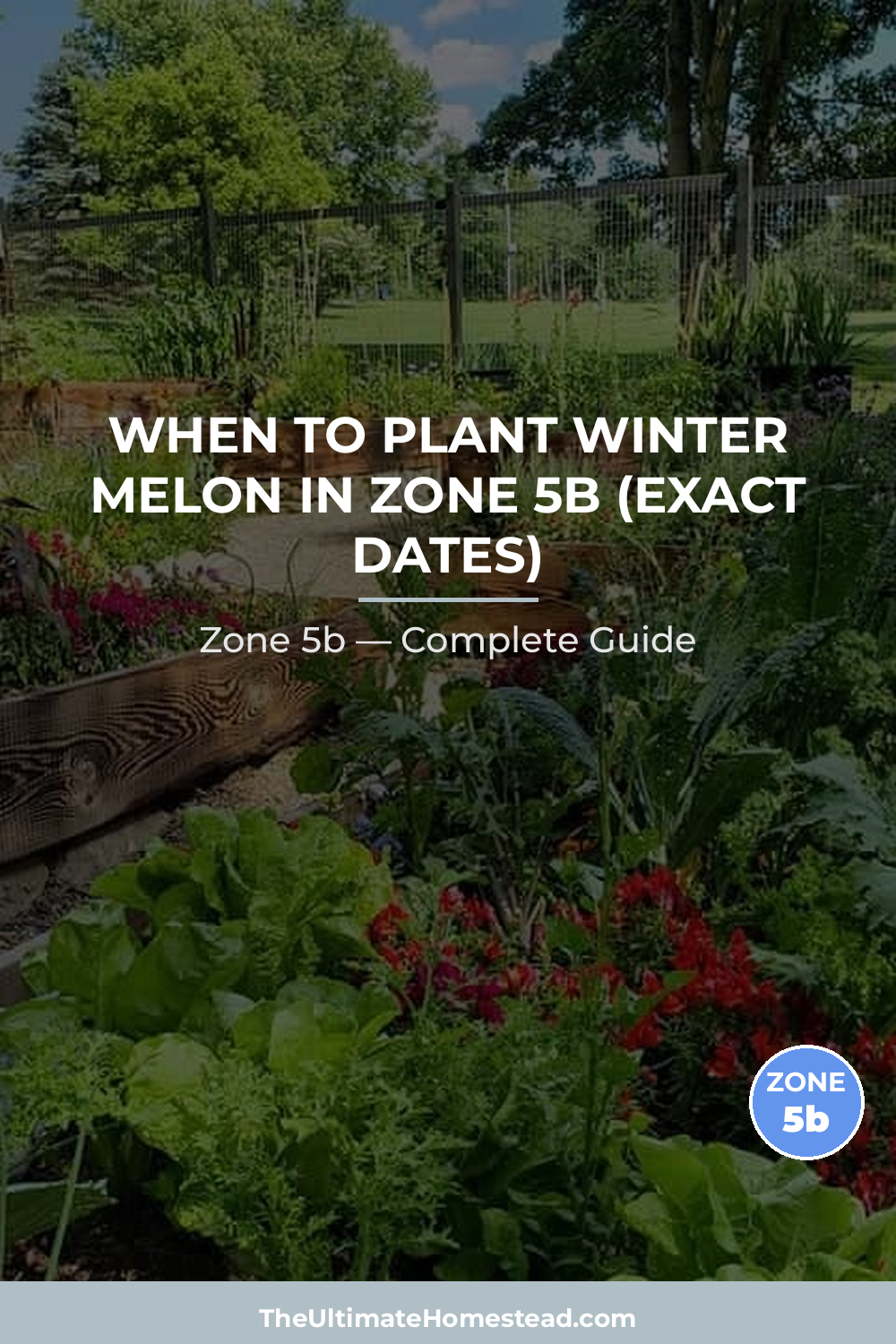 When to Plant Winter Melon in Zone 5b
