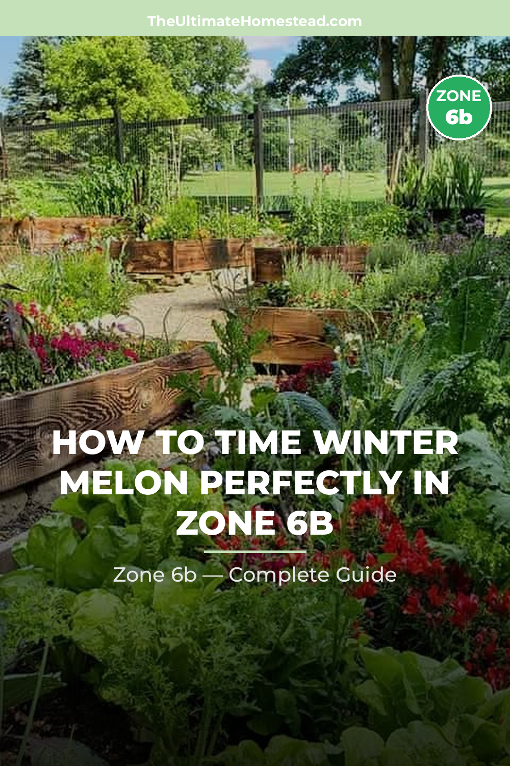 When to Plant Winter Melon in Zone 6b