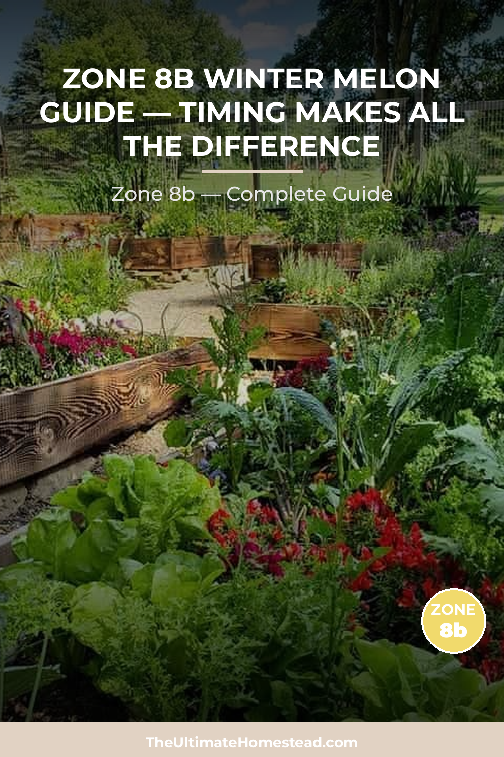 When to Plant Winter Melon in Zone 8b