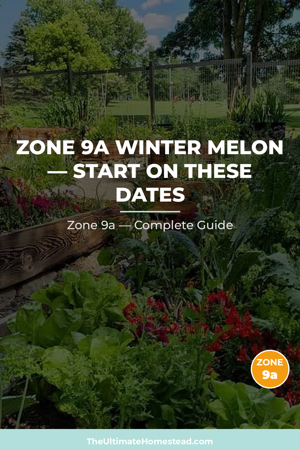 When to Plant Winter Melon in Zone 9a