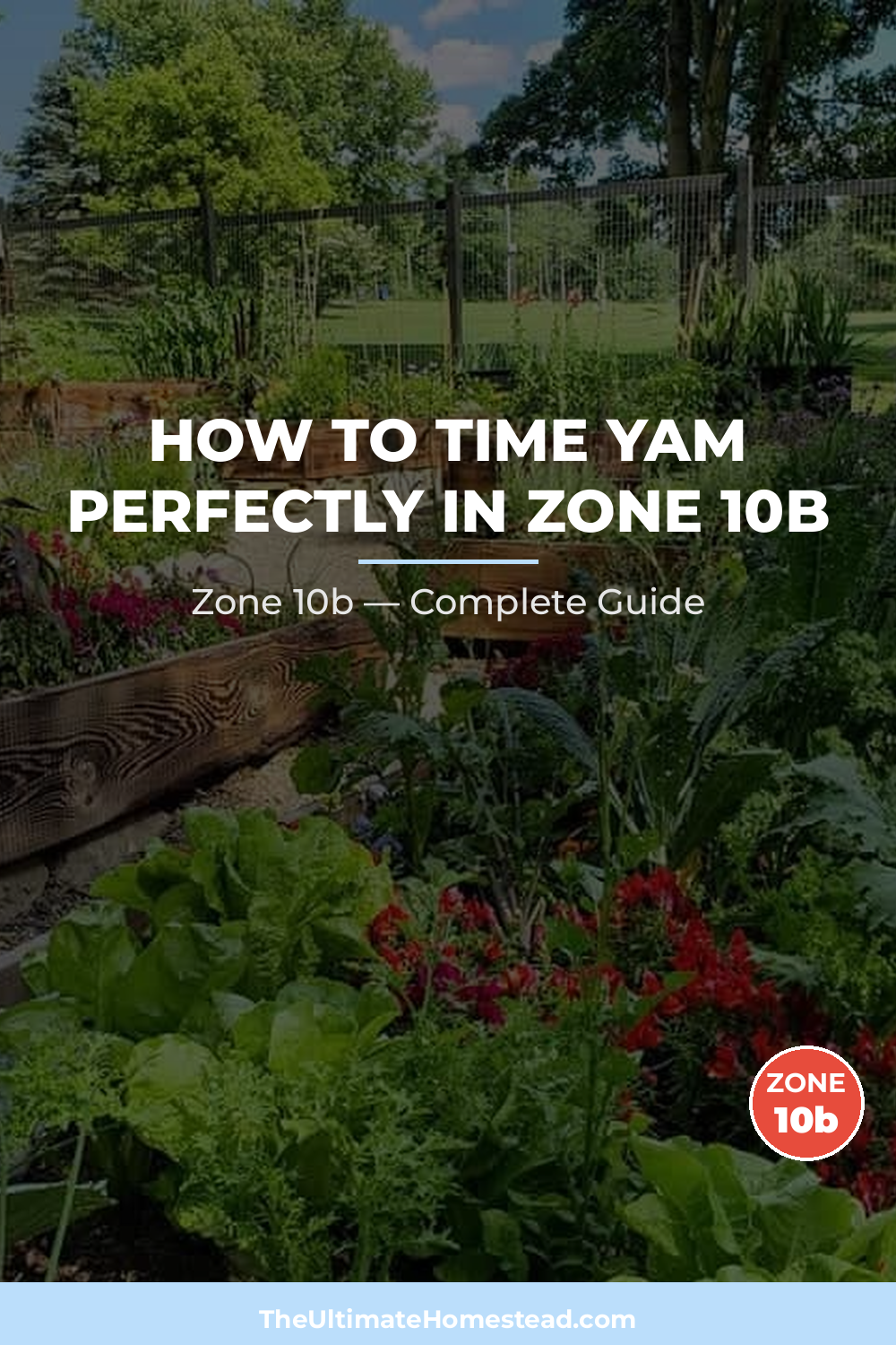 When to Plant Yam in Zone 10b