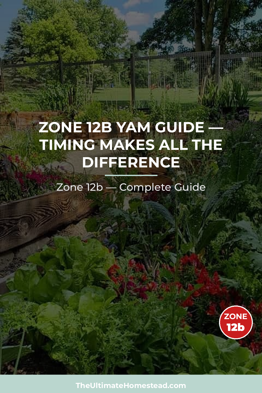 When to Plant Yam in Zone 12b