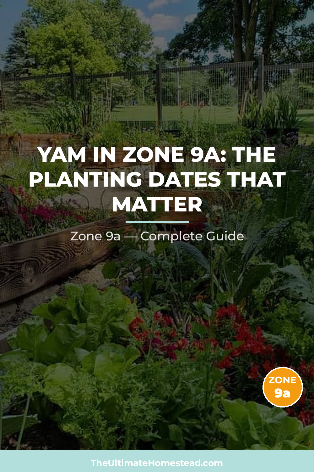 When to Plant Yam in Zone 9a