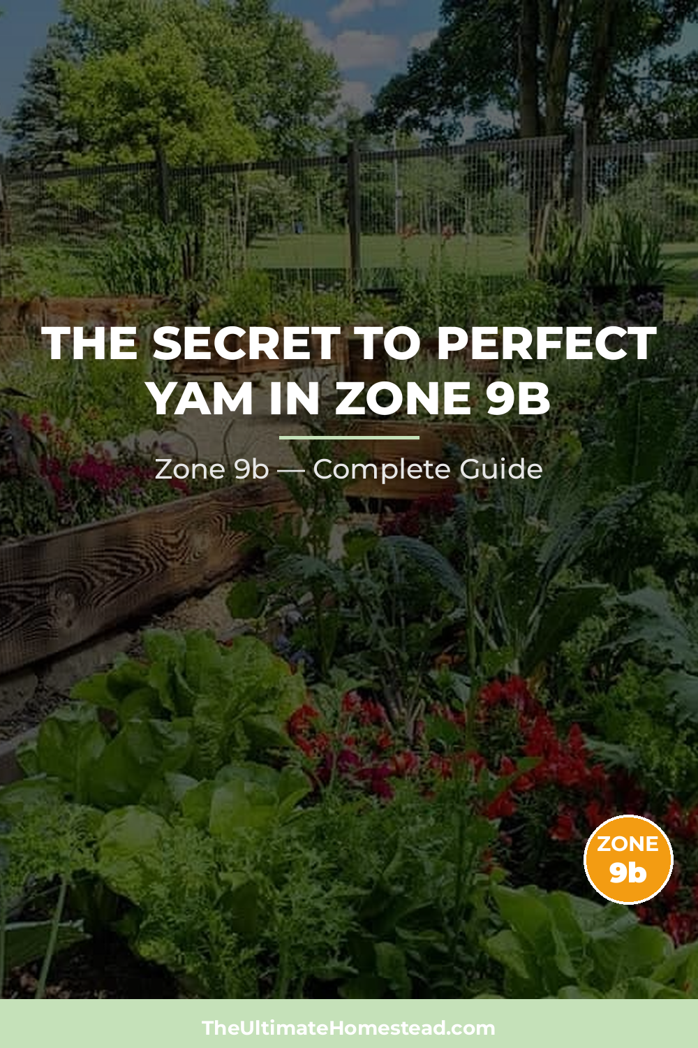When to Plant Yam in Zone 9b