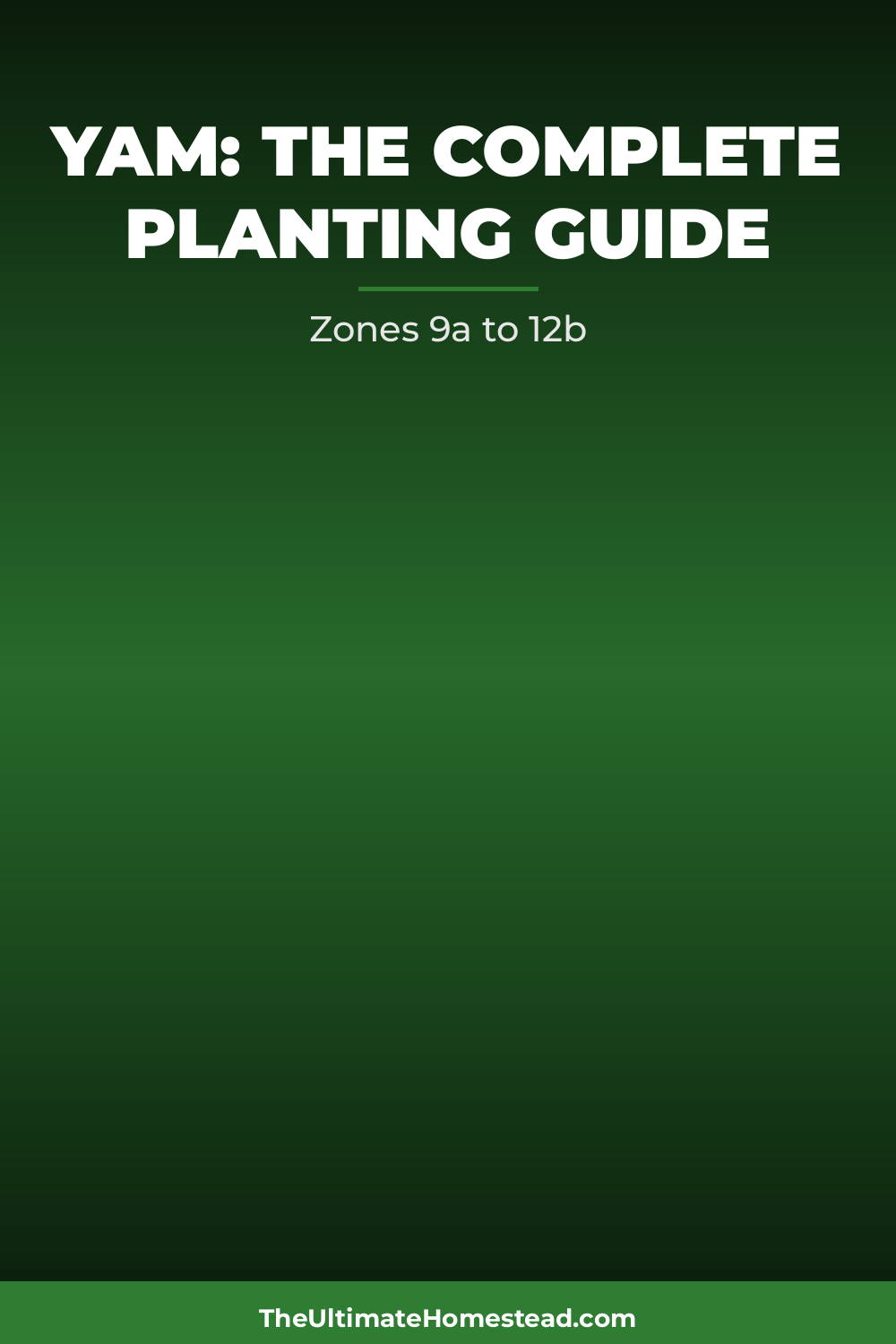 Yam Planting Guide