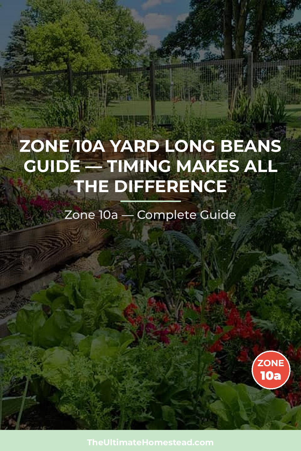 When to Plant Yard Long Beans in Zone 10a