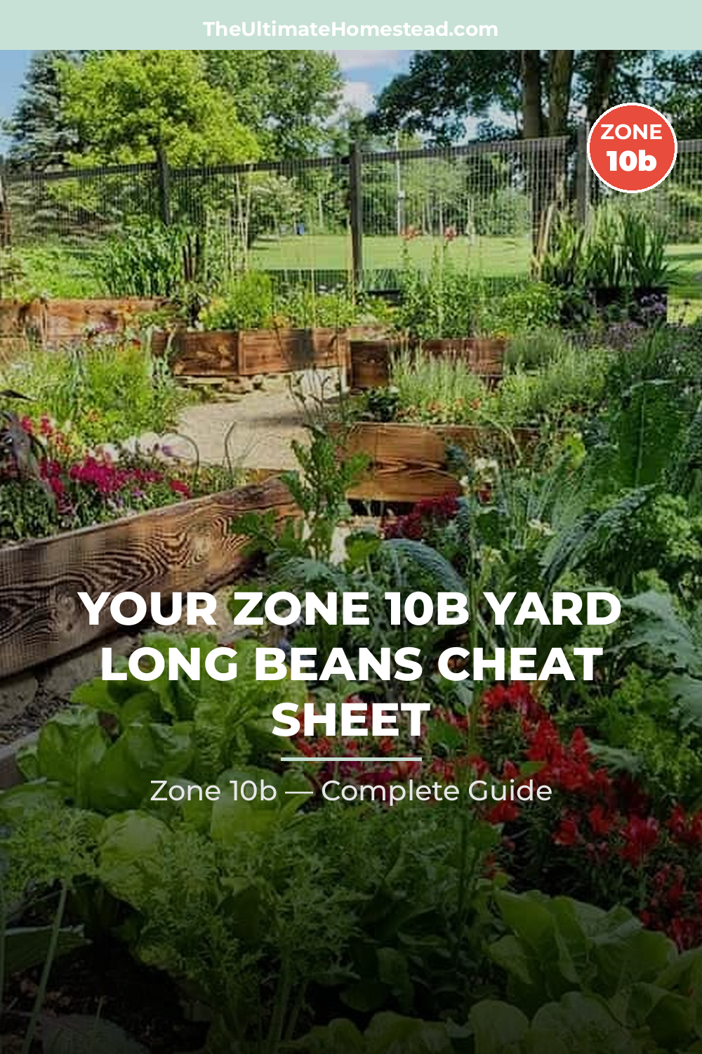When to Plant Yard Long Beans in Zone 10b