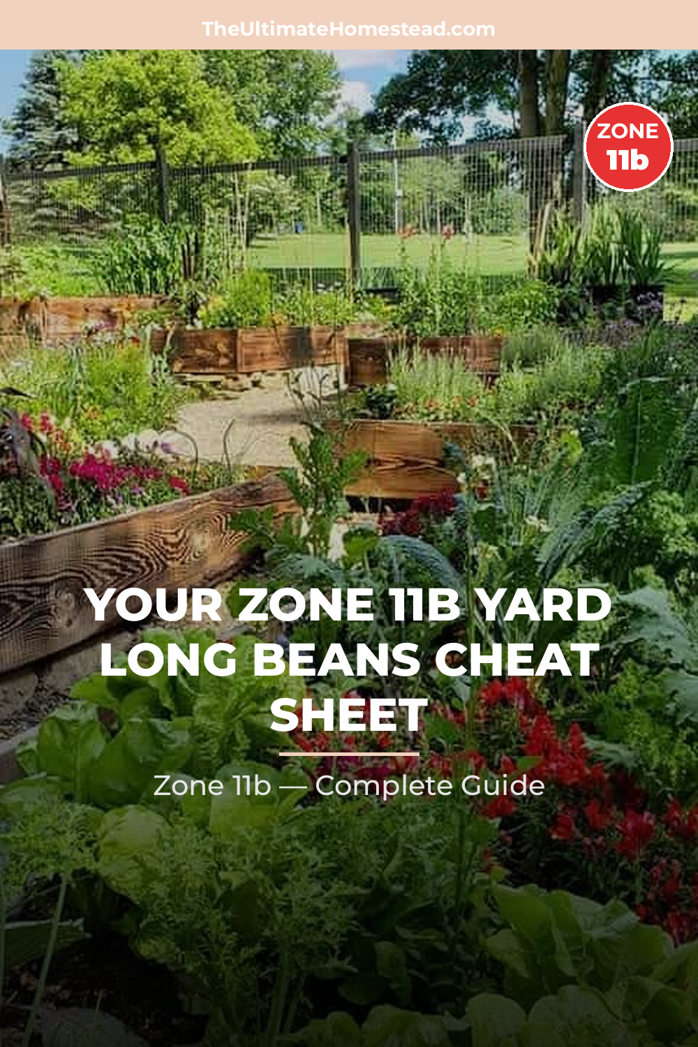 When to Plant Yard Long Beans in Zone 11b