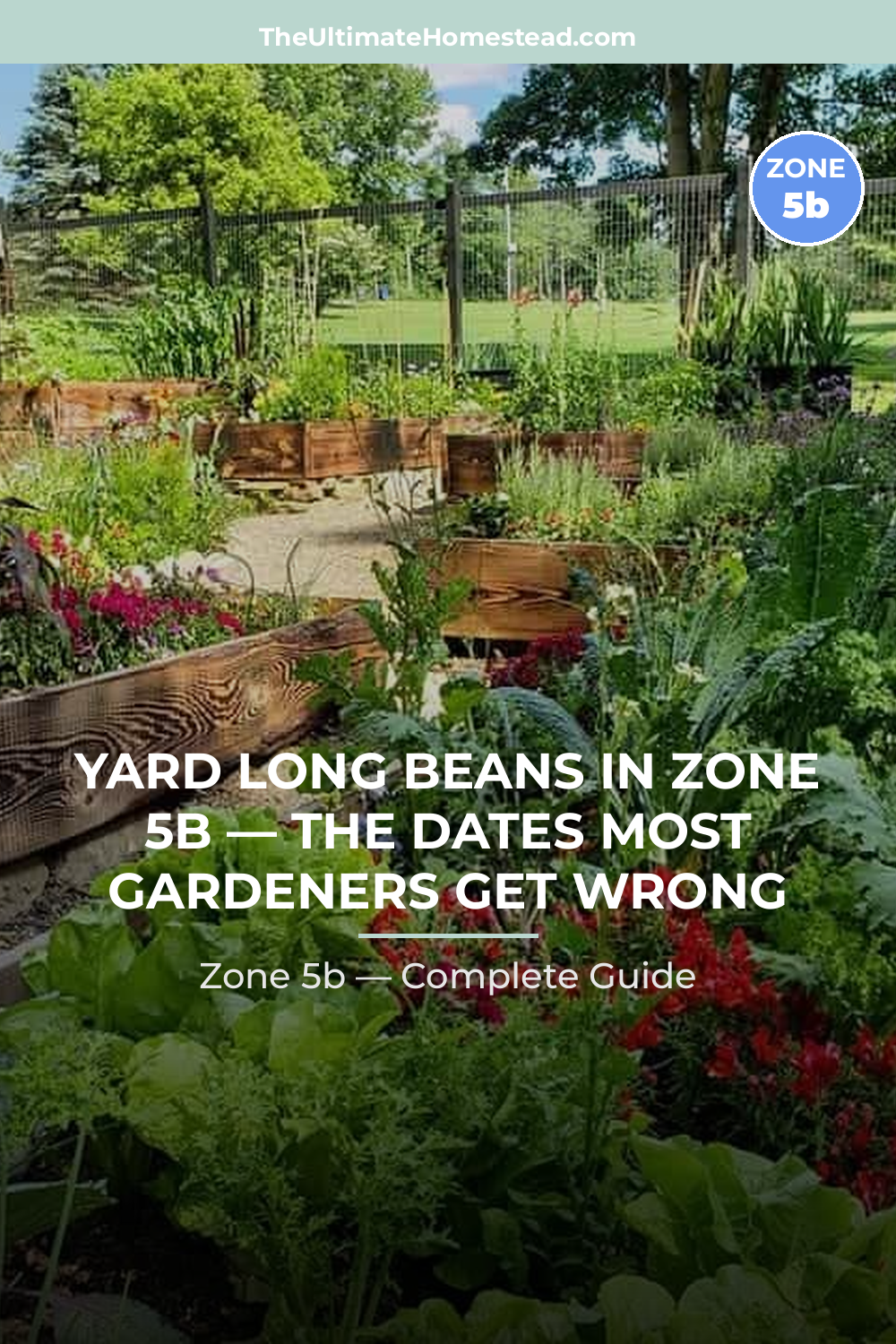 When to Plant Yard Long Beans in Zone 5b