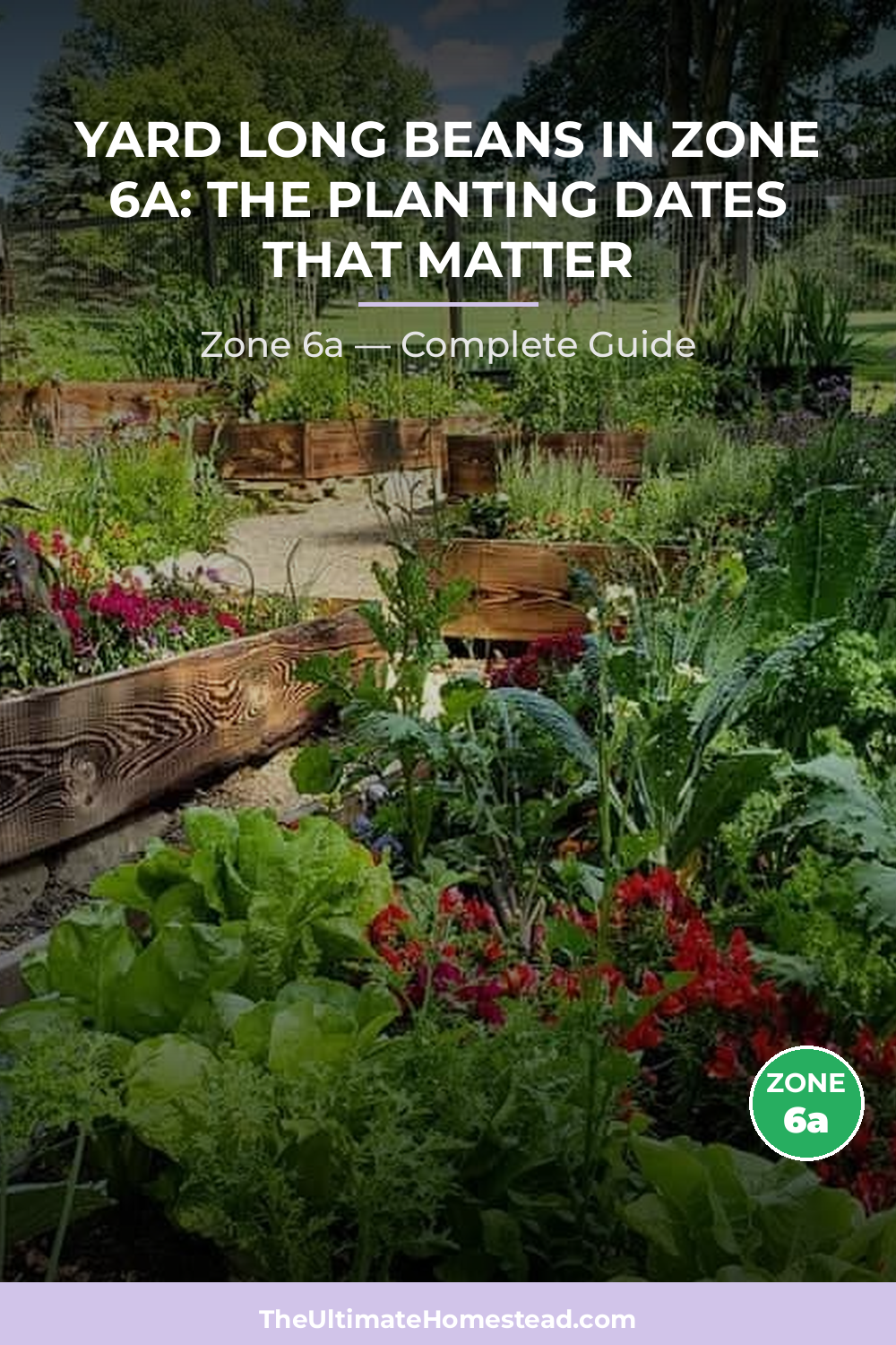 When to Plant Yard Long Beans in Zone 6a