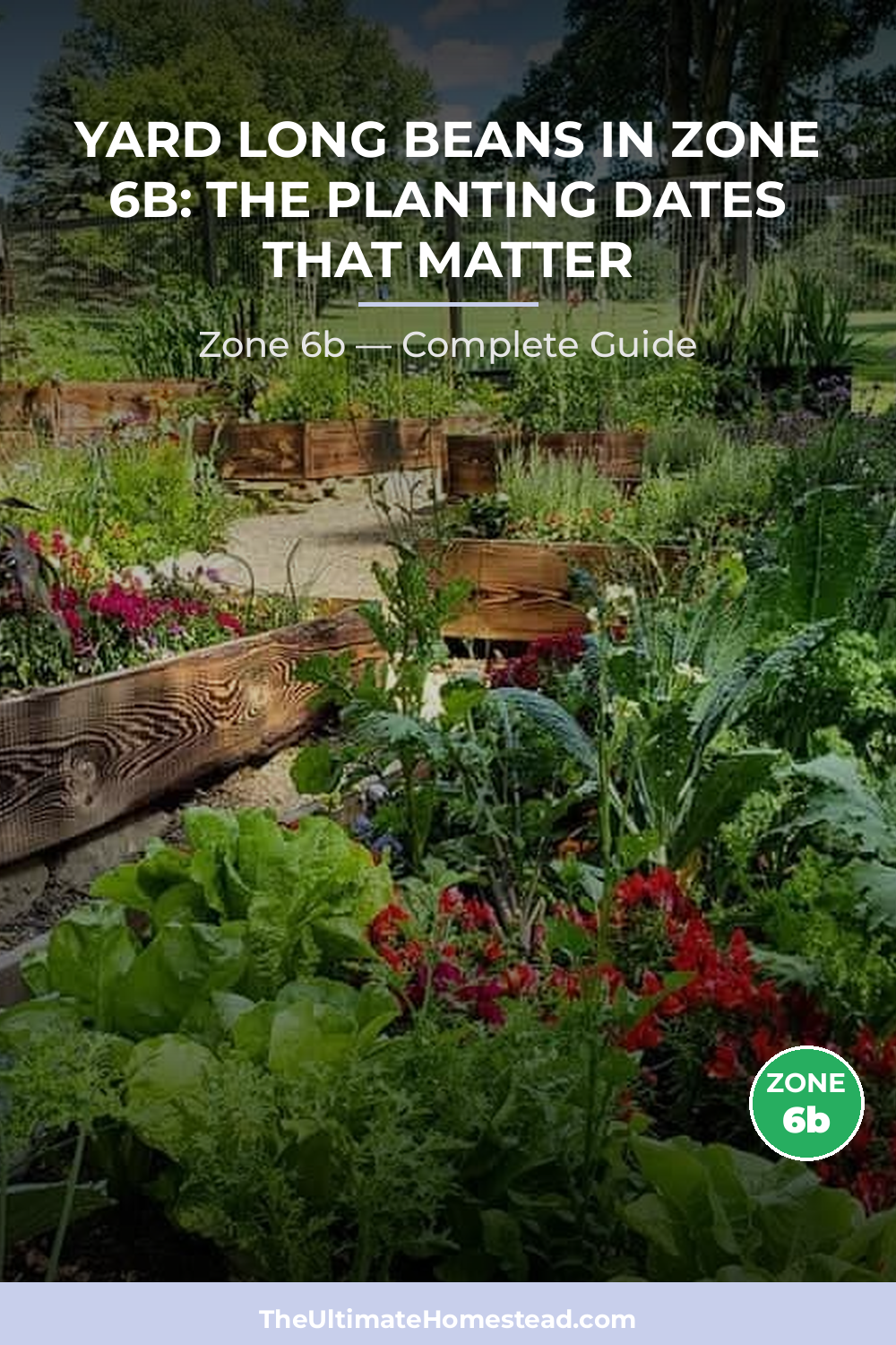 When to Plant Yard Long Beans in Zone 6b