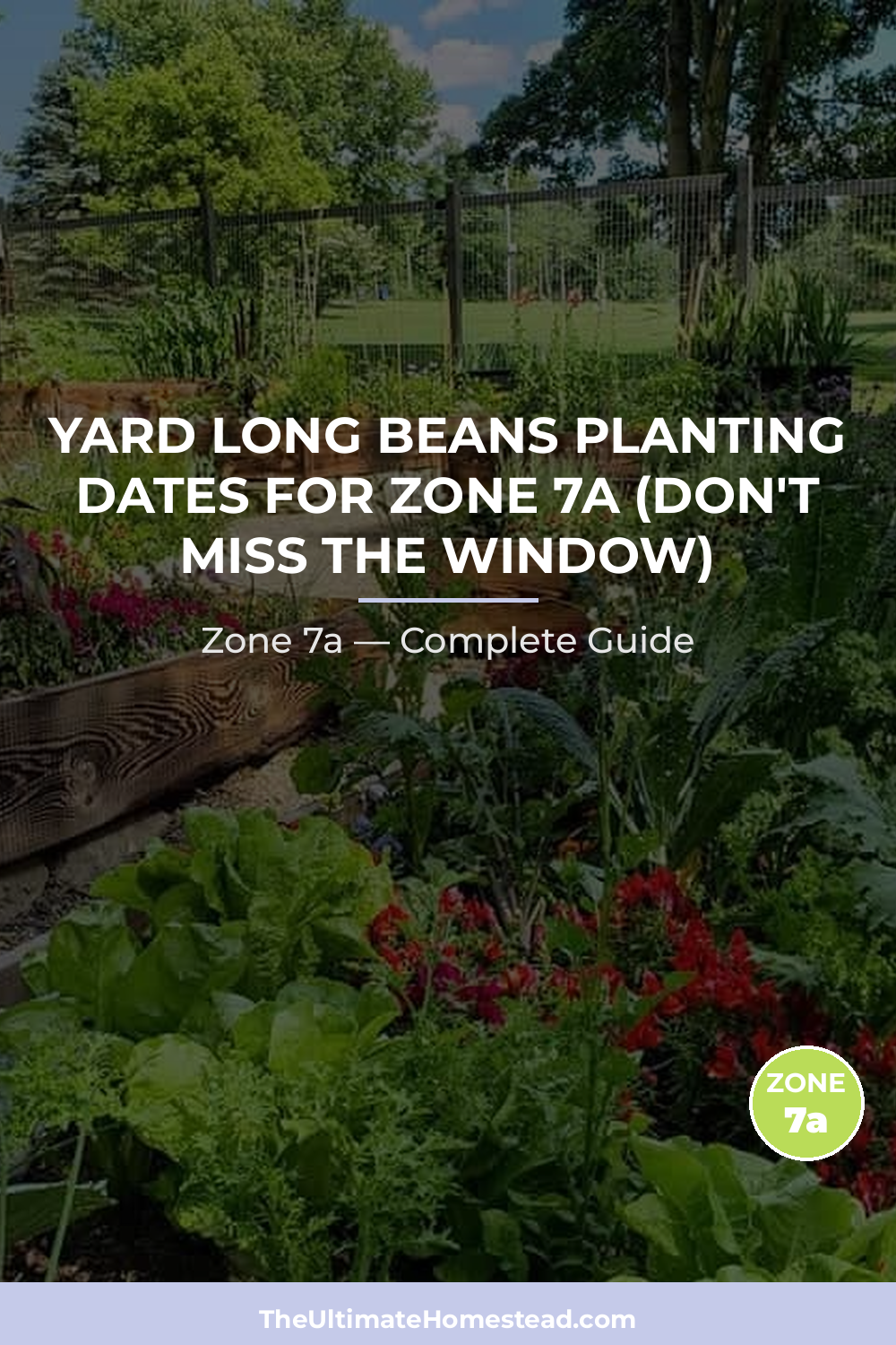 When to Plant Yard Long Beans in Zone 7a