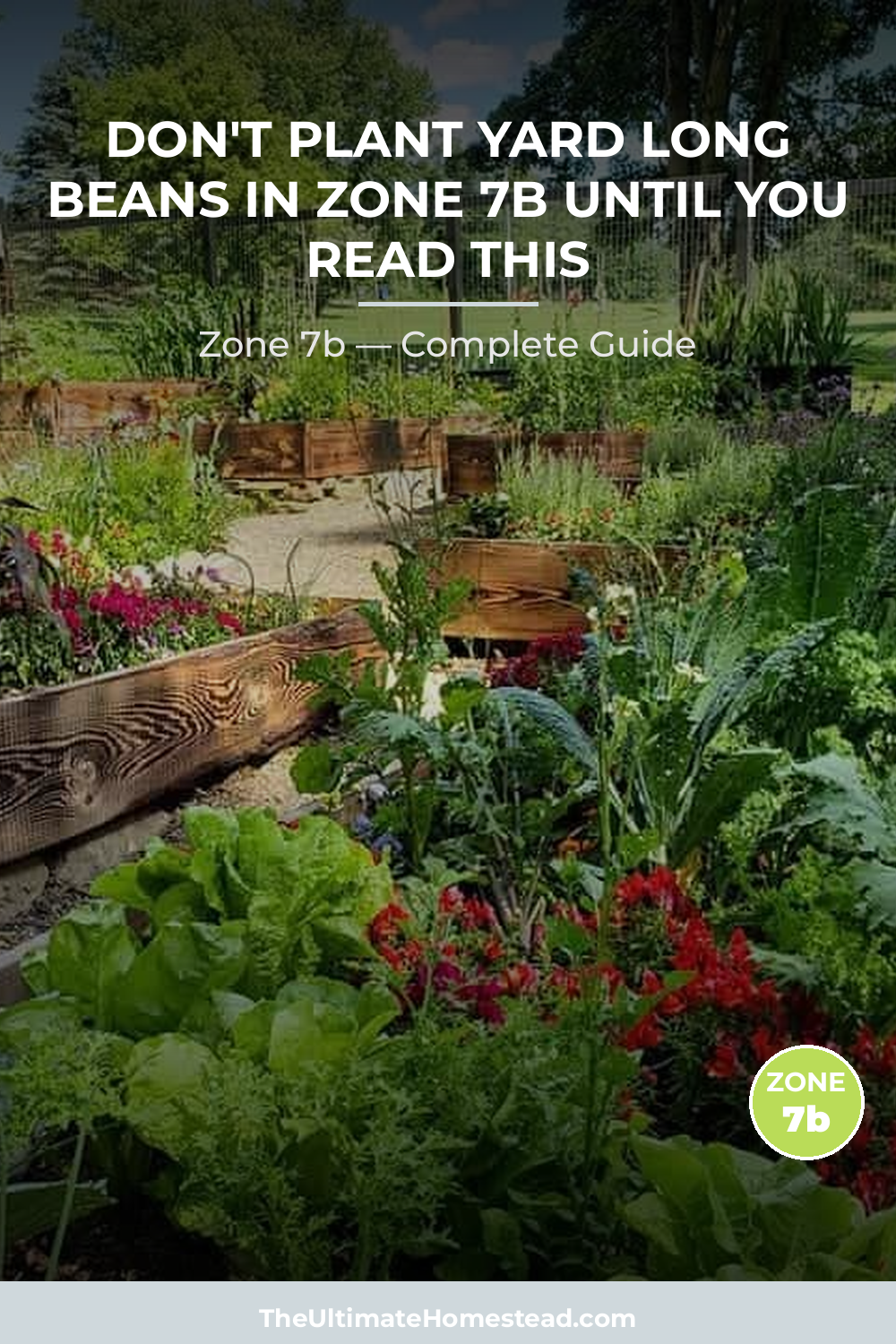 When to Plant Yard Long Beans in Zone 7b