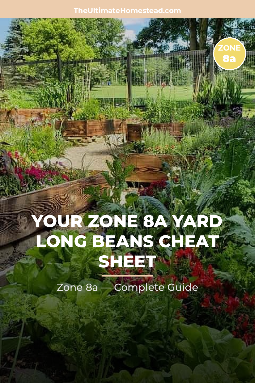 When to Plant Yard Long Beans in Zone 8a