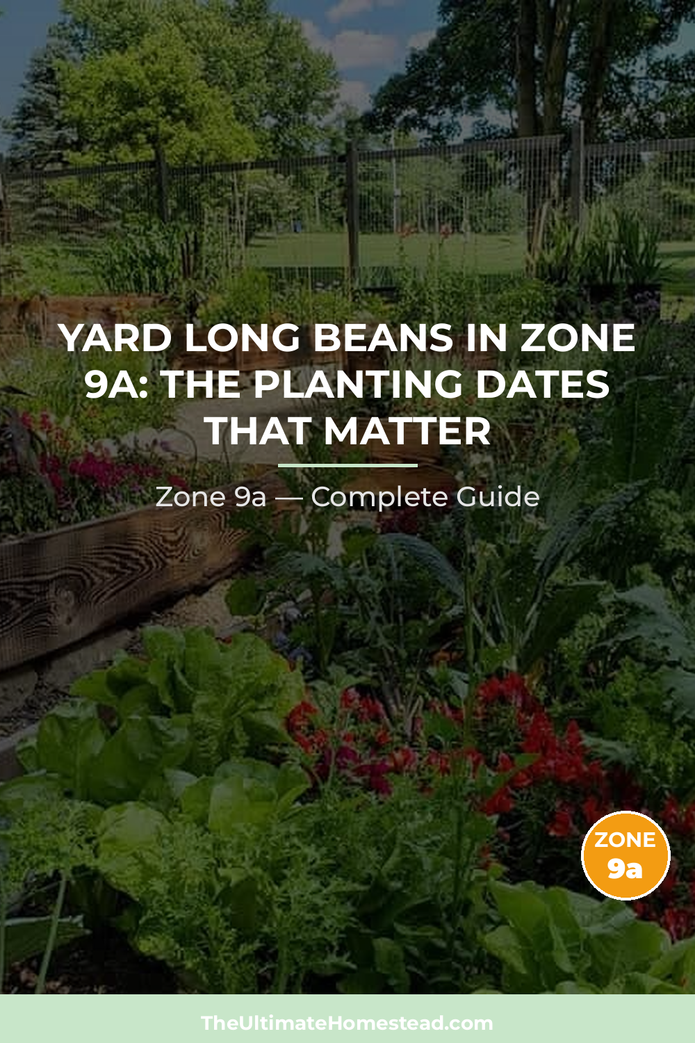 When to Plant Yard Long Beans in Zone 9a