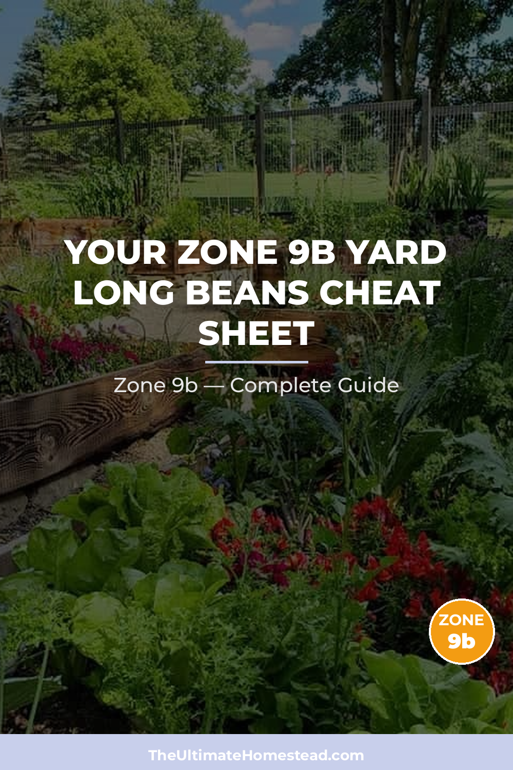 When to Plant Yard Long Beans in Zone 9b