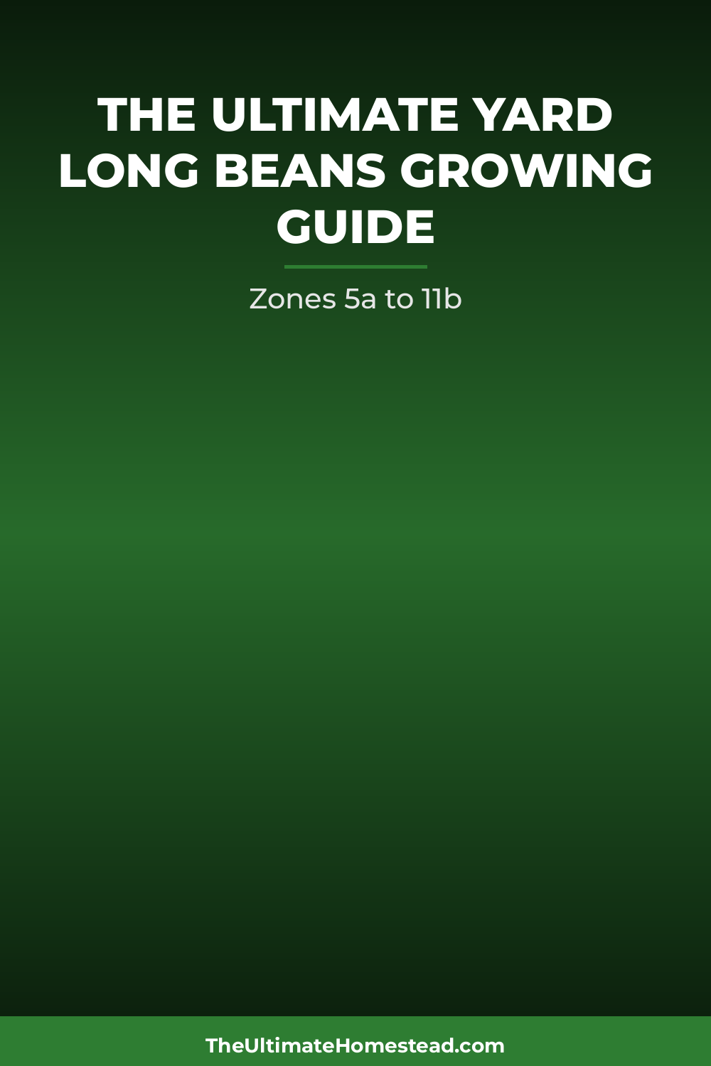 Yard Long Beans Planting Guide