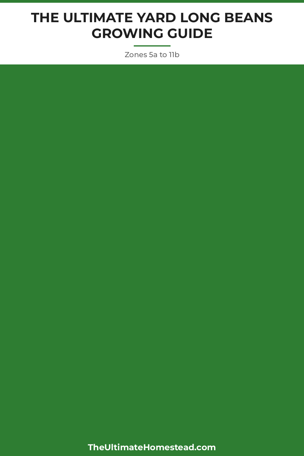 Yard Long Beans Planting Guide