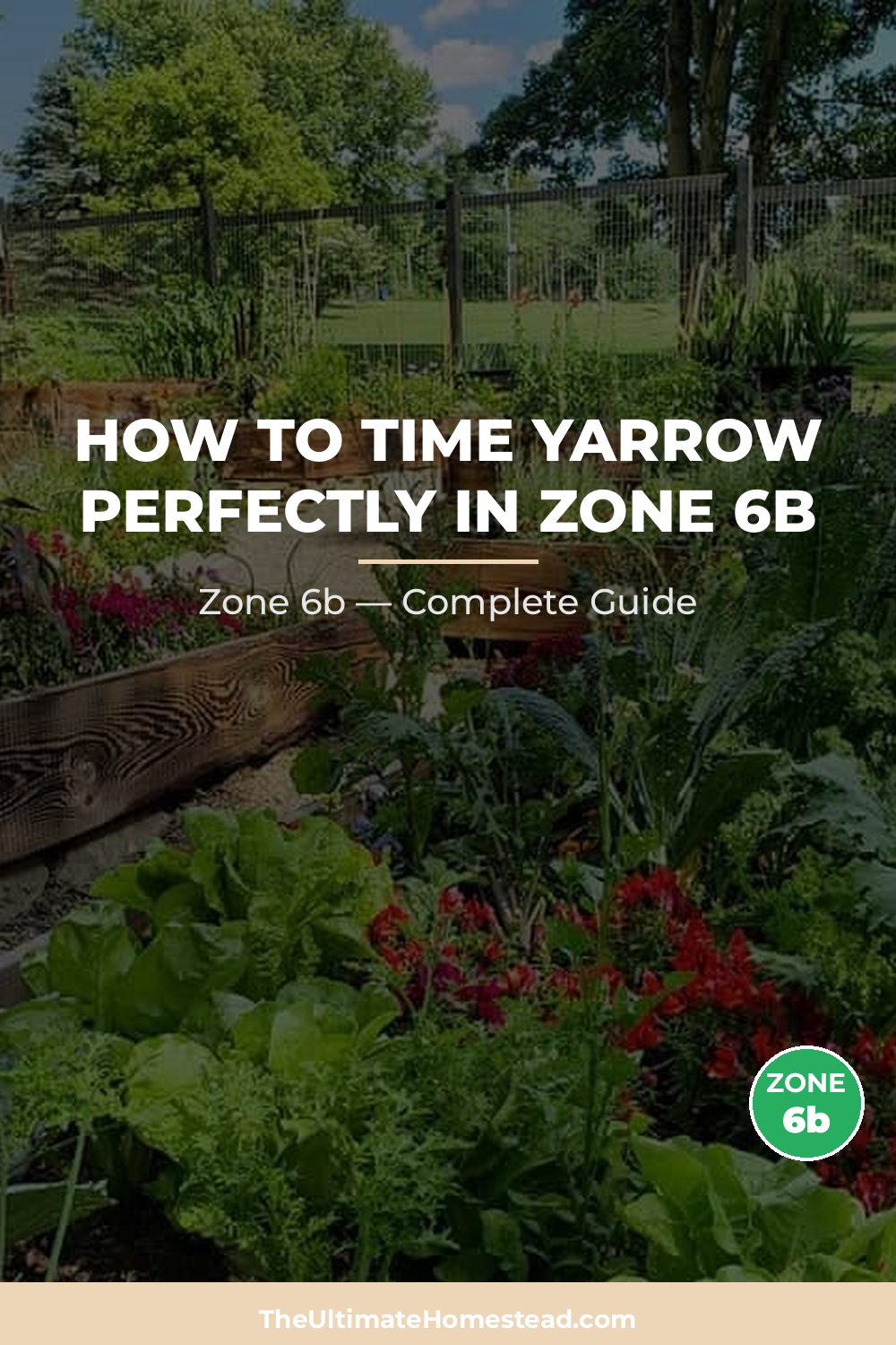 When to Plant Yarrow in Zone 6b
