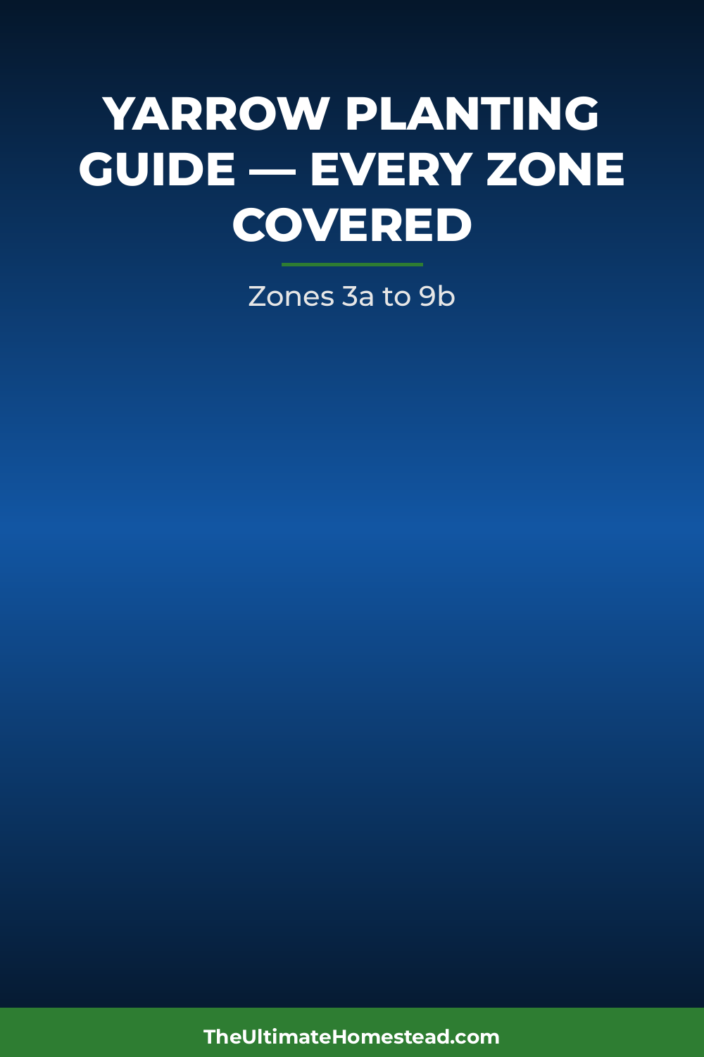 Yarrow Planting Guide