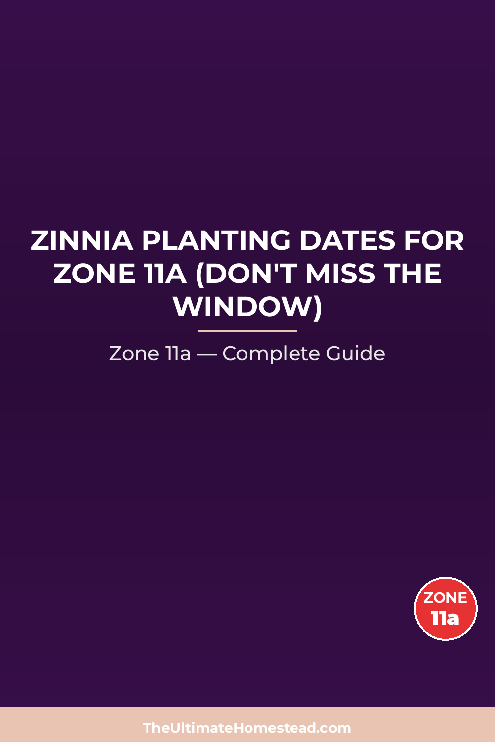 When to Plant Zinnia in Zone 11a