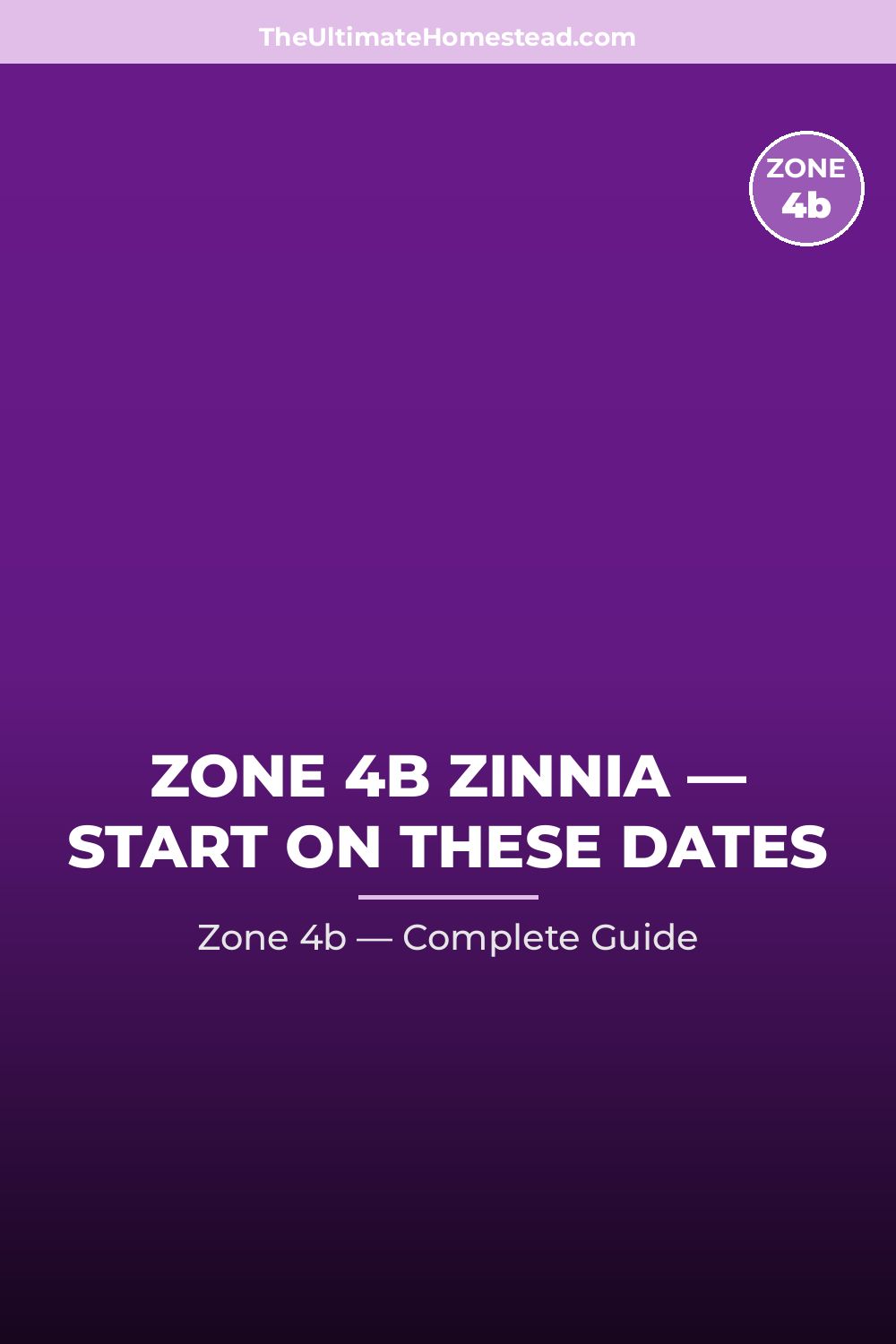 When to Plant Zinnia in Zone 4b