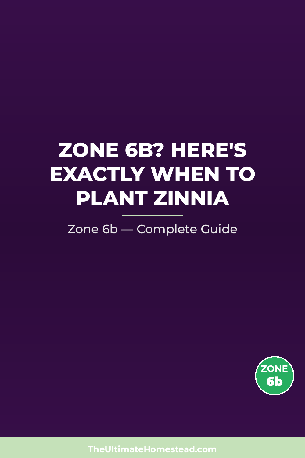When to Plant Zinnia in Zone 6b