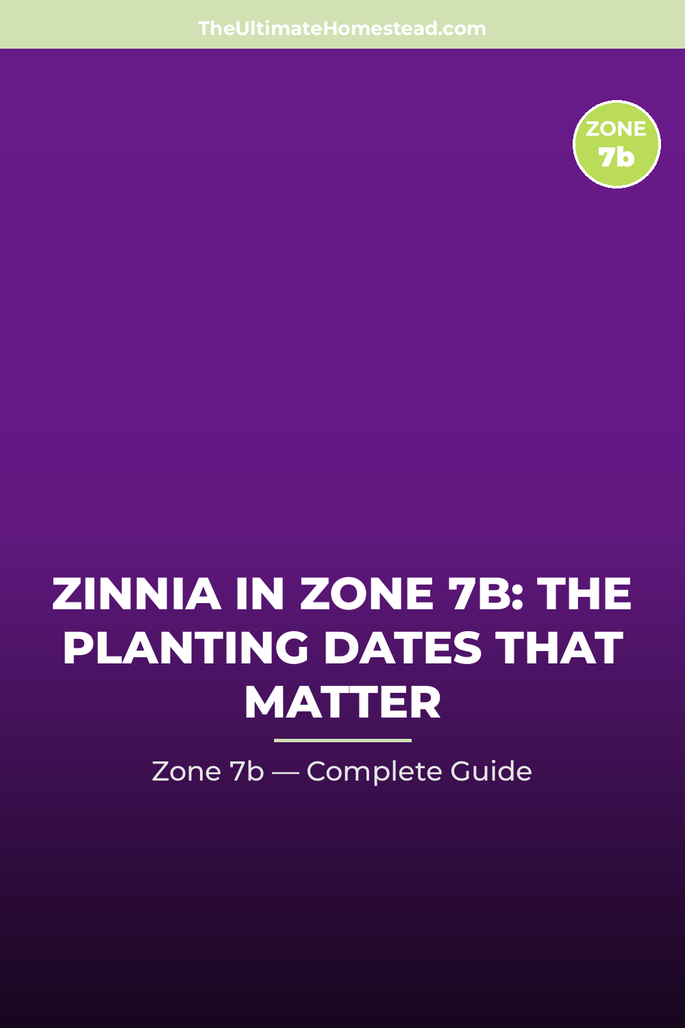 When to Plant Zinnia in Zone 7b