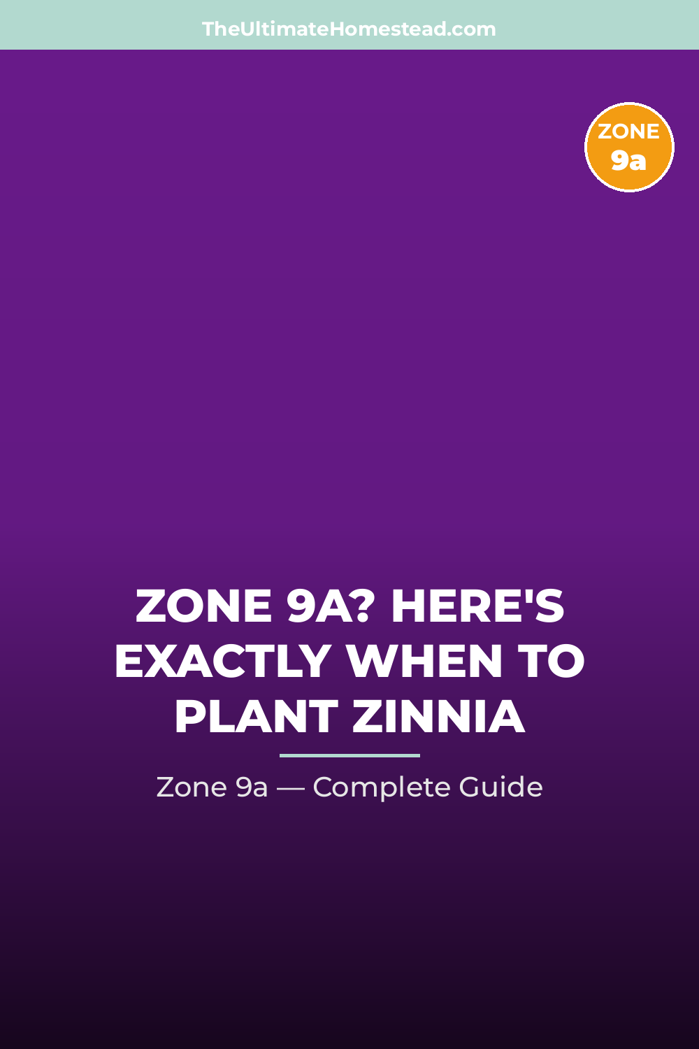 When to Plant Zinnia in Zone 9a