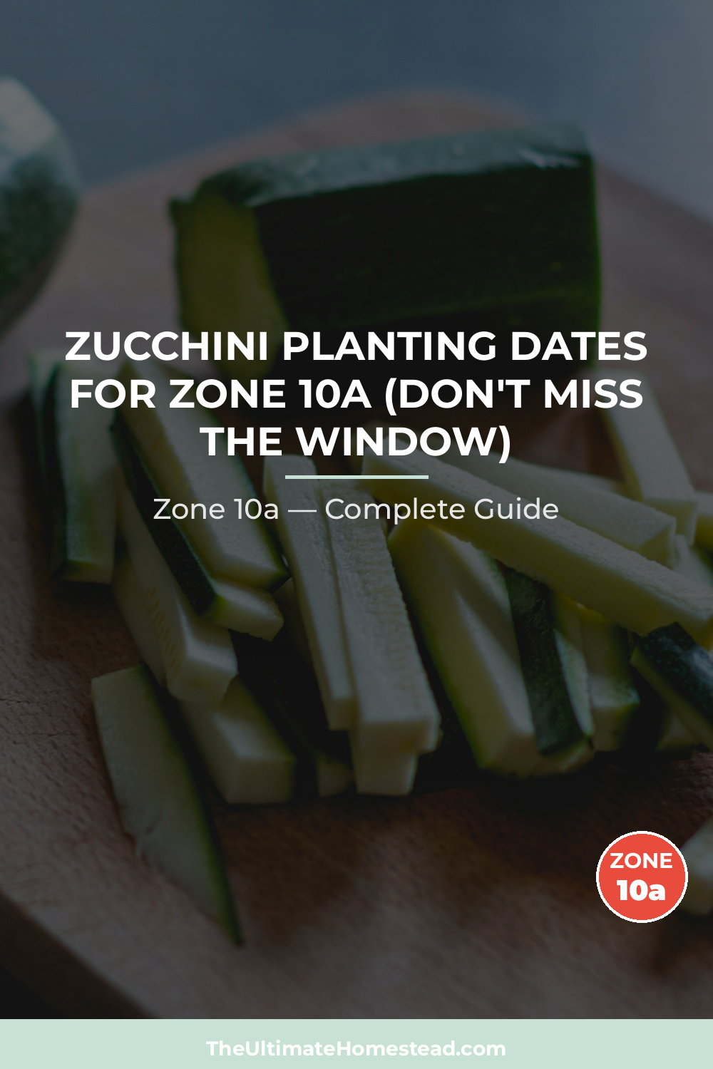When to Plant Zucchini in Zone 10a