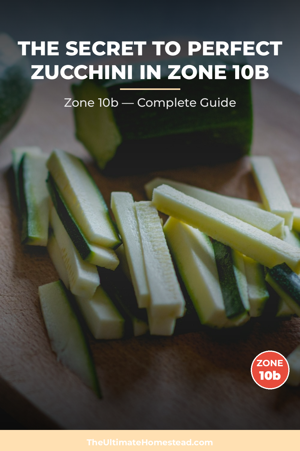 When to Plant Zucchini in Zone 10b