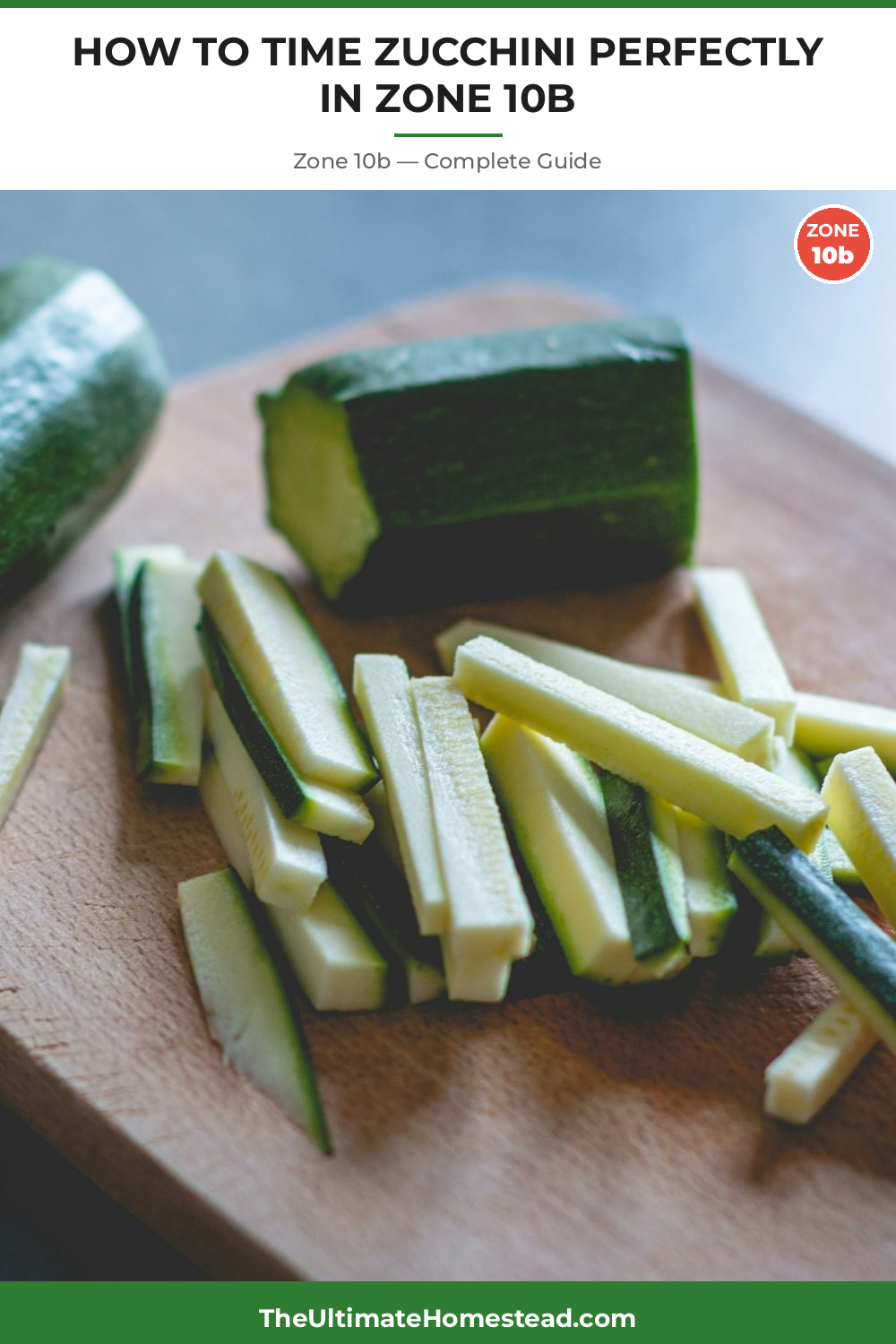 When to Plant Zucchini in Zone 10b