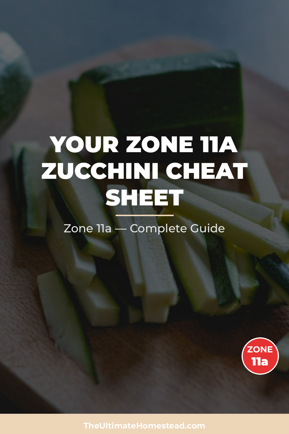 When to Plant Zucchini in Zone 11a
