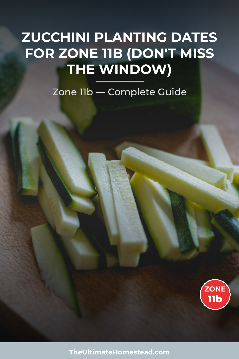 When to Plant Zucchini in Zone 11b