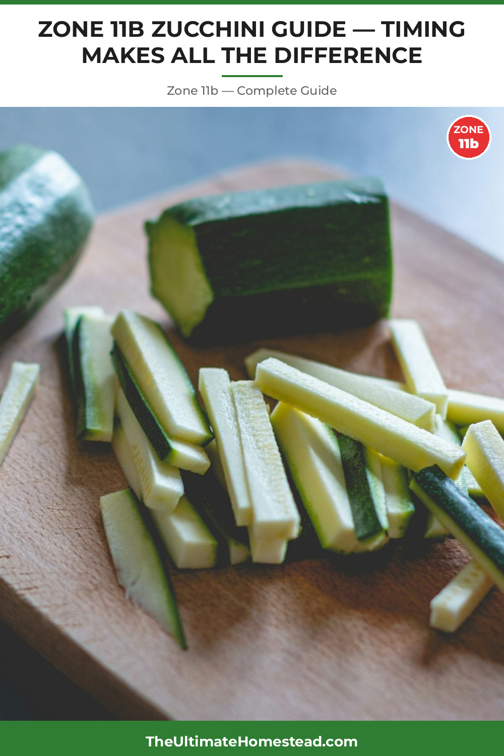 When to Plant Zucchini in Zone 11b