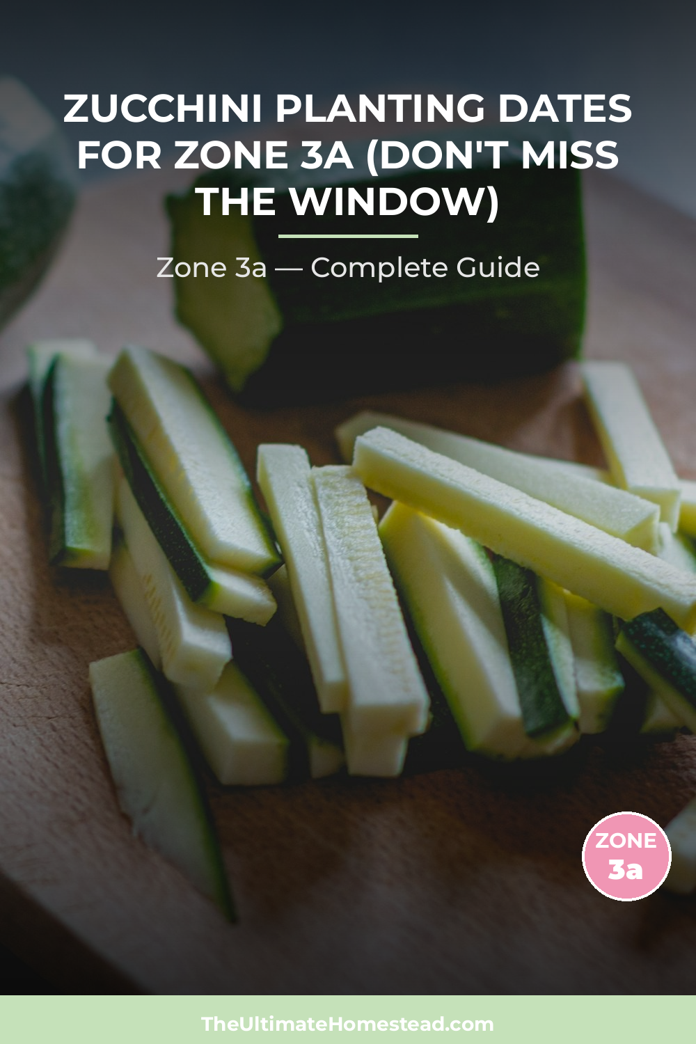 When to Plant Zucchini in Zone 3a